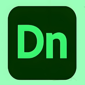 DN软件