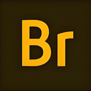 Brige
