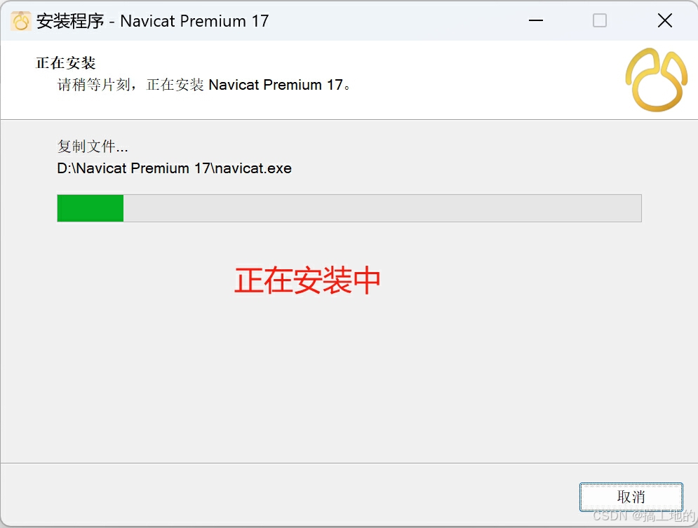 Navicat Premium 17软件安装教程+数据库管理中文安装包下载-图片6
