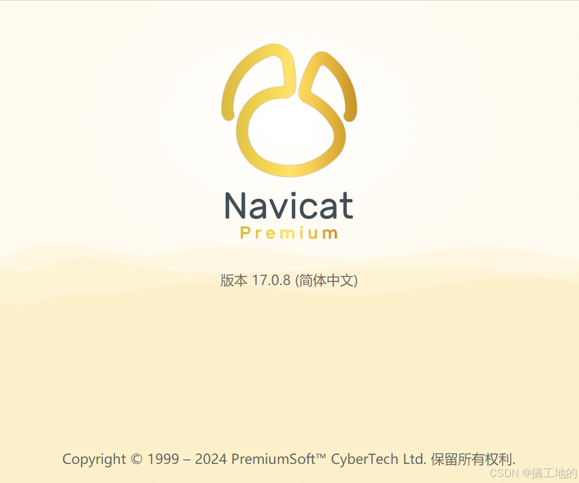 Navicat Premium 17软件安装教程+数据库管理中文安装包下载-图片10